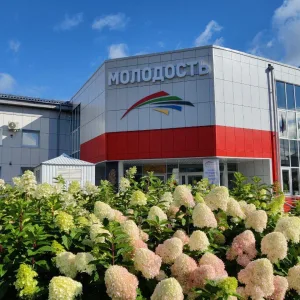 МАУ ДО "СШ "Молодость"