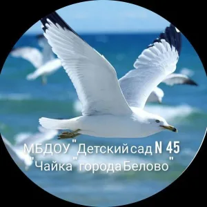 🫧МБДОУ "Детский сад № 45 „Чайка“города Белово"