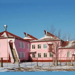 ГАУ АО "Дмитриевский СРЦН"