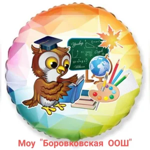 МОУ "Боровковская ООШ"