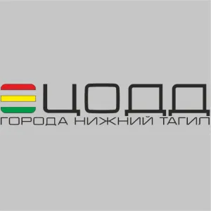 ЦОДД города Нижний Тагил