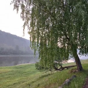 Совет СП Озеркинский сельсовет