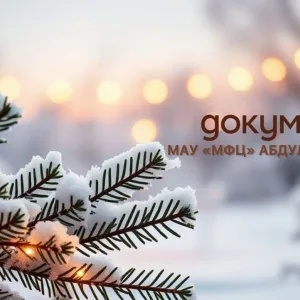 МАУ "МФЦ" АБДУЛИНСКОГО МУНИЦИПАЛЬНОГО ОКРУГА ОРЕНБУРГСКОЙ ОБЛАСТИ