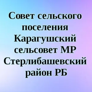 Совет сельского поселения Карагушский сельсовет МР Стерлибашевский район РБ