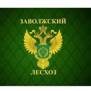 ГАУ СО "Заволжский лесхоз"