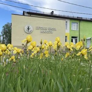 МАОУ ДО "ДШИ №1" Краснобаковского мо Нижегородской области