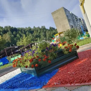 40 ДОУ_ СВЕРДЛОВСКИЙ РАЙОН, КРАСНОЯРСК