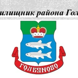 ГБУ «Жилищник района Гольяново»