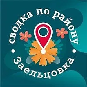 Сводка по району. Заельцовка