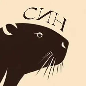 Библиотека факультета Свободных искусств и наук СПбГУ