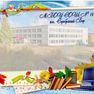 Школа №14 п.Серебряный Бор