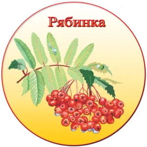 МБДОУ № 12 "Рябинка"