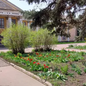 МЕТАЛЛИСТОВСКИЙ СЕЛЬСКИЙ КЛУБ АМВРОСИЕВСКОГО МУНИЦИПАЛЬНОГО ОКРУГА
