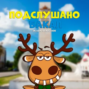 Подслушано Бакал