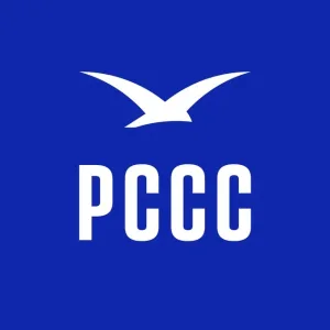 РССС <БУРЕВЕСТНИК>