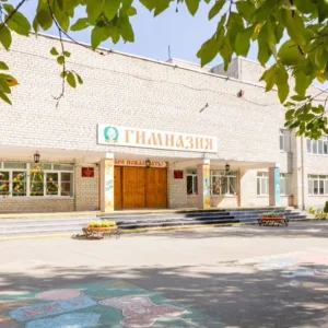 Гимназия имени Н.Д. Лицмана