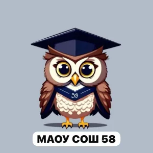 МАОУ СОШ №58