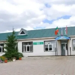 МБОУ "Аккиреевская СОШ" Черемшанского муниципального района Республики Татарстан