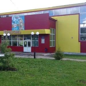 МБОУ ДО ДЮСШ Пензенского района