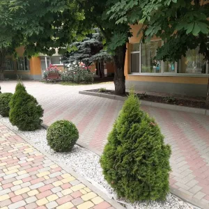 МАДОУ № 315