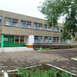 МБОУ "Мокшинская СОШ" Любинского района Омской области