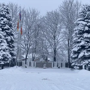 МБОУ «Никольская ООШ» Зубцовский м/о