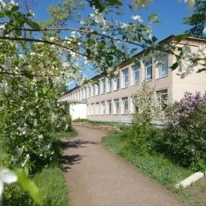 МОУ " Сыртинская школа"