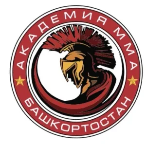 Академия ММА (Уфа)