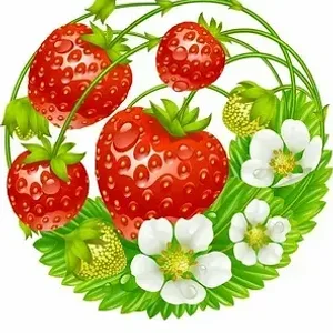 МБДОУ д\с "Ягодка"