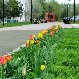 Красное сельцо сегодня