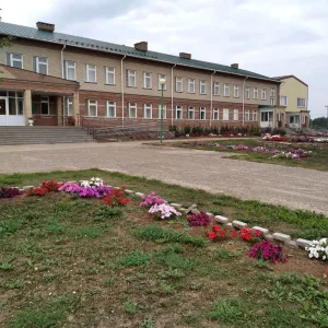 МБОУ " Большешинарская СОШ"