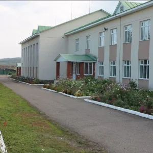 ГБОУ Бокситовская КШИ