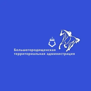 Большегородищенская территориальная администрация