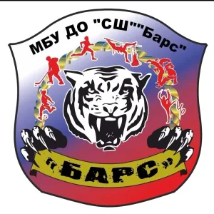 МБУ ДО "СПОРТИВНАЯ ШКОЛА" "БАРС"