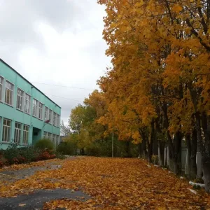 МКОУ ООШ д. Подгорцы