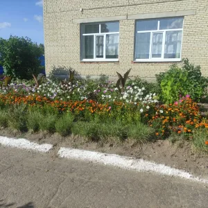 МБДОУ ДС № 4 г. Городище