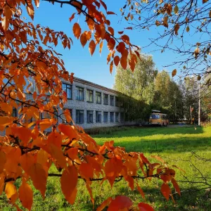 МБОУ Новодмитриевская средняя школа. Выкса