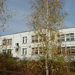 МБОУ "Борисовская СОШ"