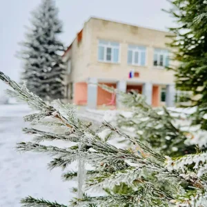 Говорит Чернышихинская школа