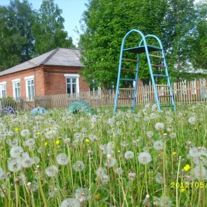 МКДОУ Дмитрошурский детский сад