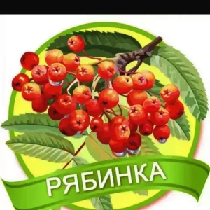 МБДОУ детский сад №61 "Рябинка"