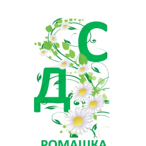 МБДОУ "Детский сад №4 "Ромашка"