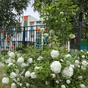 МБОУ СОШ с.Семеновка