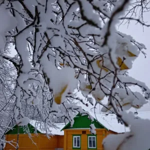 МБОУ "Власовская ООШ"