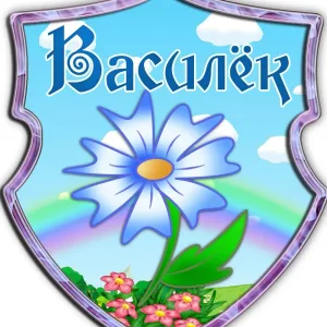 МБДОУ ДЕТСКИЙ САД №6 "ВАСИЛЁК"