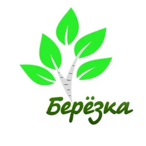 МБДОУ "ДСКВ № 31 "Берёзка"