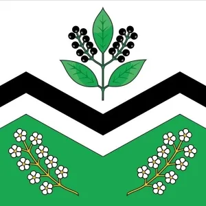 Администрация р. п. Мошково