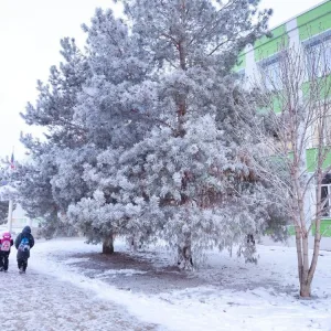 МАОУ СОШ 3 город Балаково