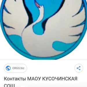 МАОУ "Кусочинская средняя общебразовательная школа"