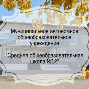 Муниципальное автономное общеобразовательное учреждение "Средняя общеобразовательная школа № 12"